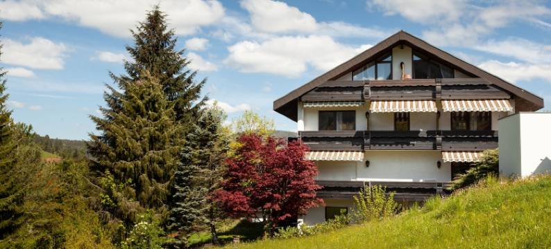 佩特拉酒店(Hotel Petra)图片