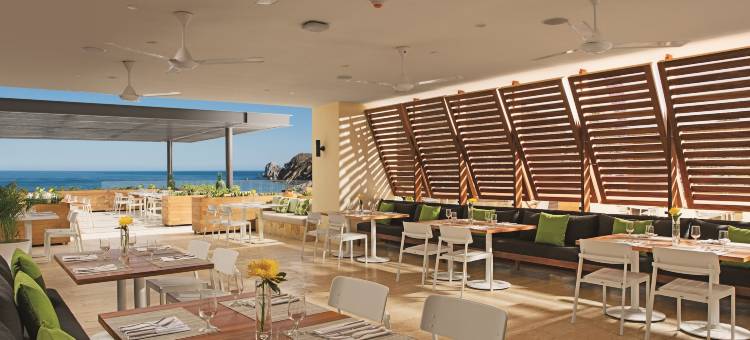 屏息卡波圣卢卡斯全包酒店(Breathless Cabo San Lucas Resort & Spa)图片