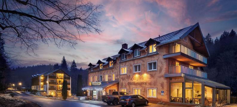 拉登明勒酒店(Hotel Ladenmühle)图片