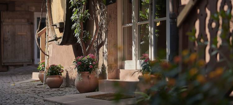 钓鱼藤水疗中心酒店(Pêche de Vigne & Spa)图片