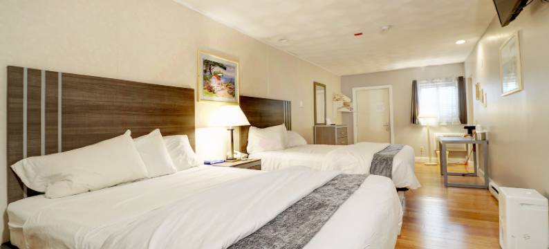 哈密尔顿乡村酒店(Hamilton Village Inn)图片