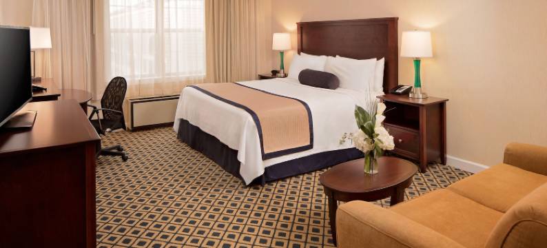 韦斯特福德丽晶酒店&会议中心(Westford Regency Inn & Conference Center)图片