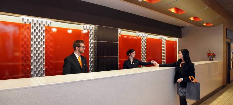 波士顿纳蒂克威尔威酒店 - 希尔顿启缤精选酒店(The Verve Boston Natick, Tapestry Collection by Hilton)图片