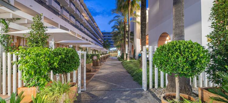 英赛德阿尔库迪亚酒店(Innside Alcudia)图片