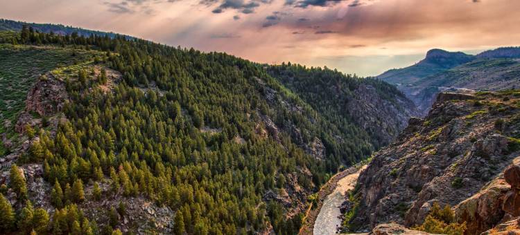 甘尼森罗德威酒店(Rodeway Inn Gunnison)图片