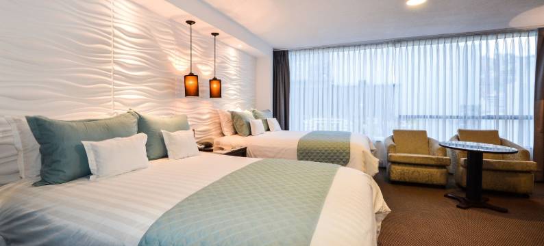 总统酒店(Hotel Presidente)图片