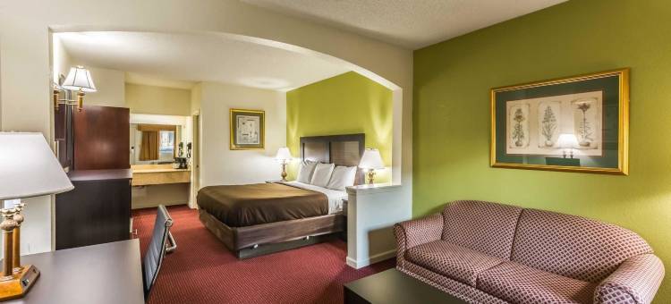 Suburban 开间 佛罗伦萨 - 达林顿(Suburban Studios Florence - Darlington)图片