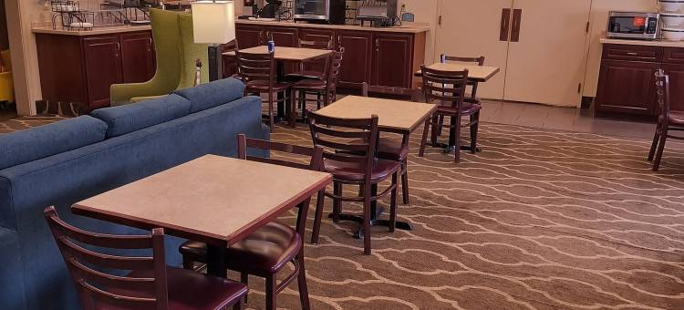 舒适套房酒店(Comfort Inn & Suites)图片