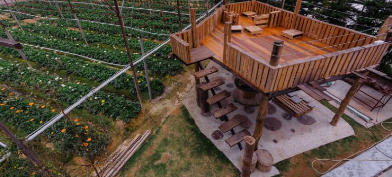 韦斯特伍德高地旅舍 - 青年旅舍(Westwood Highland - Hostel)图片