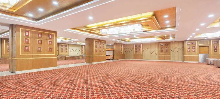 古尔冈市中心索赫纳路丽笙酒店(Radisson Gurugram Sohna Road City Center)图片