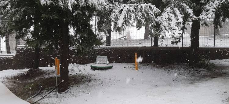 齐默席盖尔酒店(Zimmer Cigale)图片