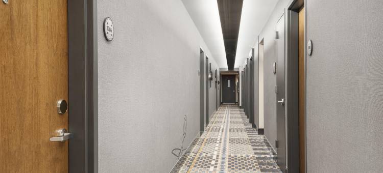 纽约时尚区希尔顿酒店(Hilton New York Fashion District)图片