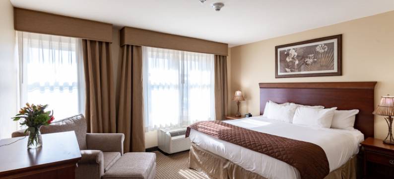 杰斐逊街旅馆(Jefferson Street Inn, a Member of Radisson Individuals)图片