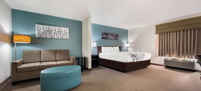 卡尔曼 I-65 310 号出口舒眠套房酒店(Sleep Inn & Suites Cullman I-65 Exit 310)图片