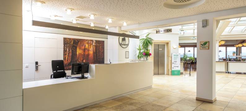 米歇尔卡罗利瓦尔德基兴酒店(Michel Hotel Karoli Waldkirchen)图片