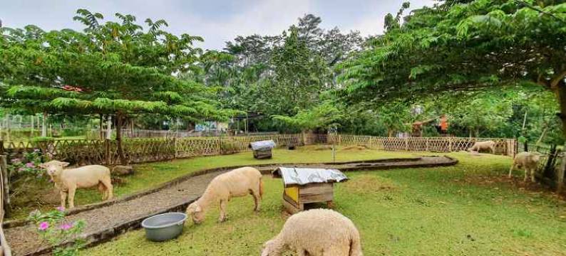 La'Ranch Glamping Adventure图片