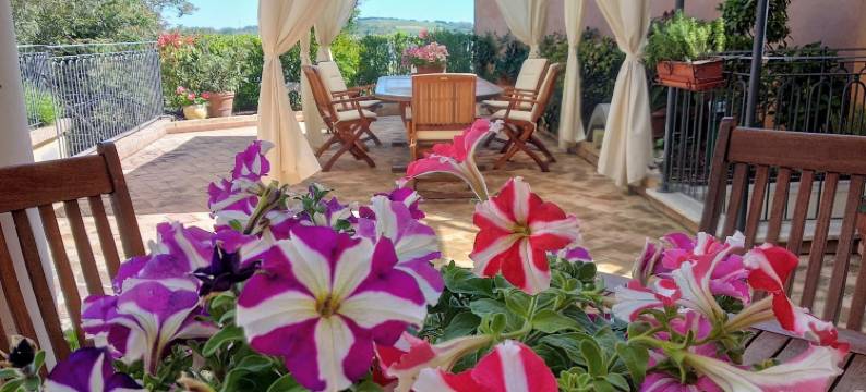 梅斯蒂切里广场民宿(B&B Palazzo Mestichelli)图片