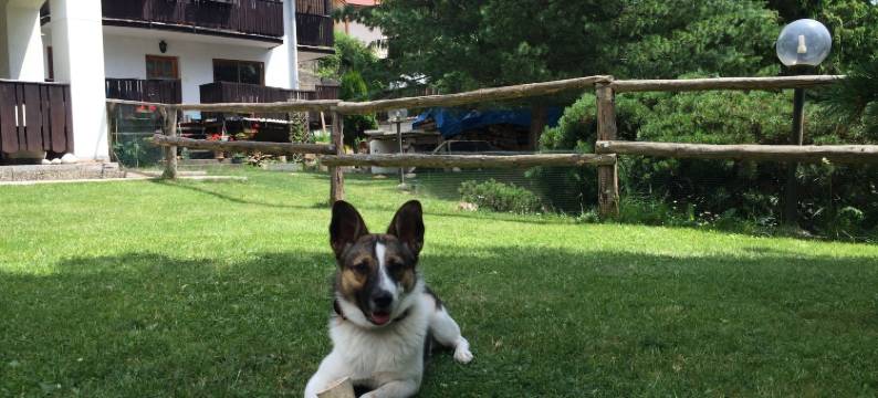 帕兹克宾馆(Penzion Pažický)图片