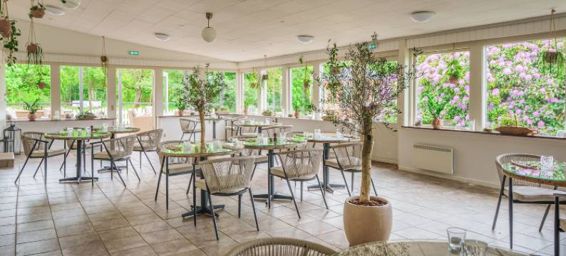 莫鲁普磨坊客栈(Morup Mølle Kro)图片