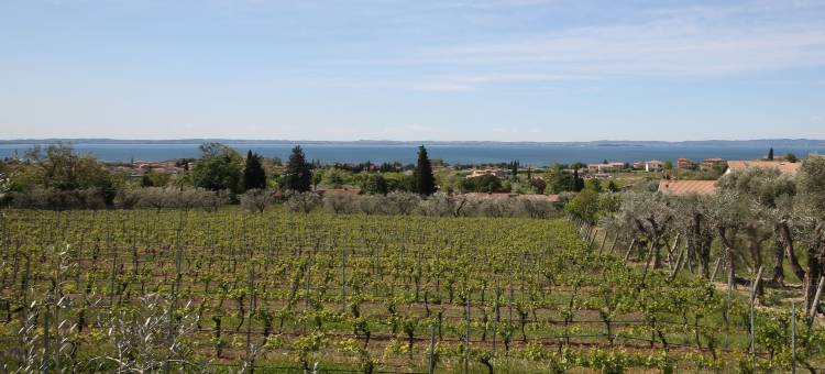 美景公寓酒店(Appartamenti Bellavista)图片