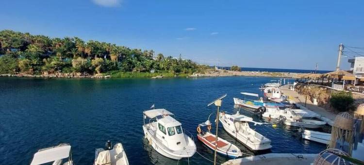 Harbour Lights by Smaris Collection图片