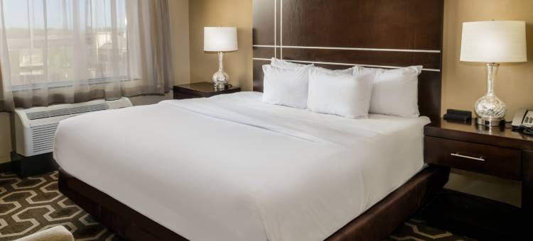 希尔顿安泊酒店-圣路易斯机场(Embassy Suites by Hilton St. Louis Airport)图片