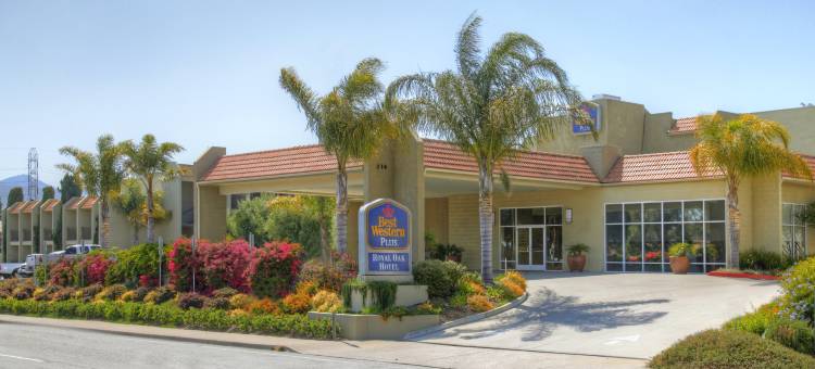 皇家橡树贝斯特韦斯特优质酒店(Best Western Plus Royal Oak Hotel)图片