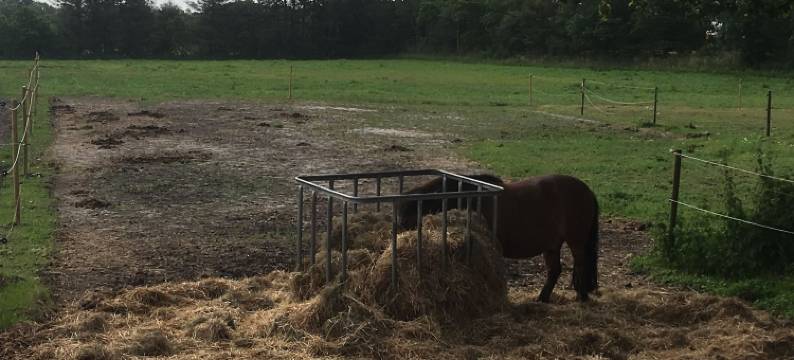提斯图民宿(Bed & Breakfast Tistrup)图片