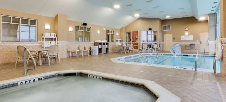 圣路易斯奥法伦德鲁里套房酒店(Drury Inn & Suites St. Louis/O'Fallon, IL)图片