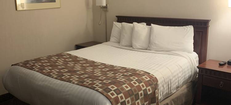 信天翁酒店(Albatross Hotel)图片