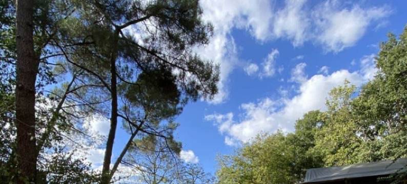 布赫加德生态小屋酒店(Ecolodge Beauregard)图片