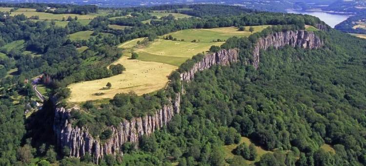 Logis中央酒店& Spa(Logis Central Hôtel - Restaurant & Spa)图片