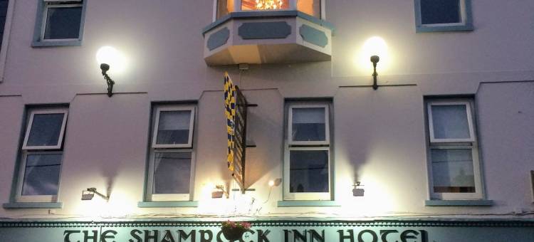 三叶草酒店(Shamrock Inn Hotel)图片