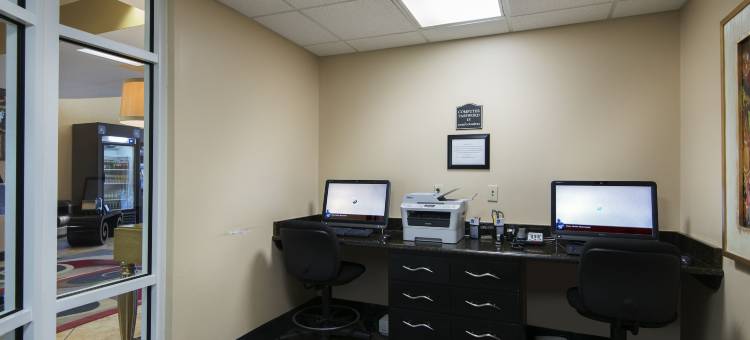 舒适套房酒店(Comfort Suites Conway)图片