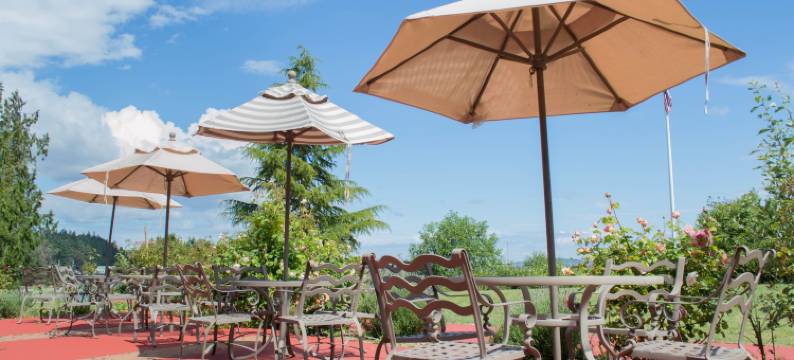 老酒厂酒店(Old Alcohol Plant)图片