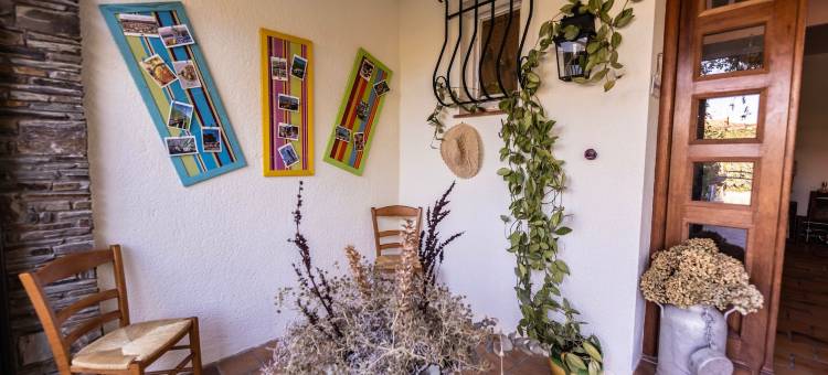 马斯德尔弗洛尔(Mas del Flor)图片