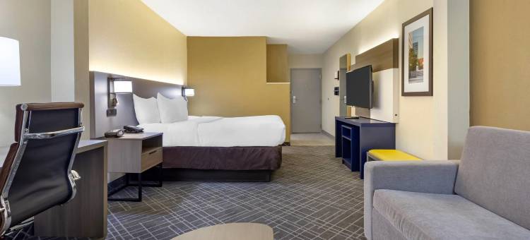 哈尼斯商场舒适套房酒店(Comfort Suites Hanes Mall)图片