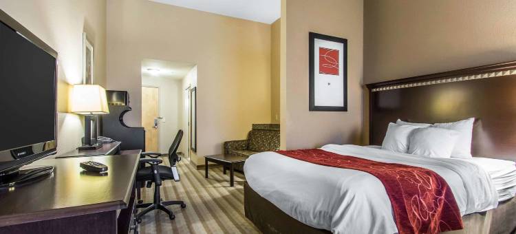 舒适套房酒店(Comfort Suites Smyrna)图片