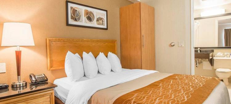 舒适酒店(Comfort Inn)图片