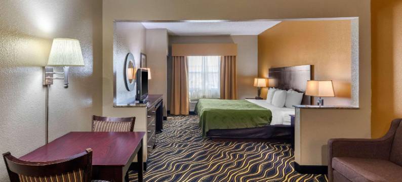 艾迪生-达拉斯品质套房酒店(Quality Suites Addison-Dallas)图片