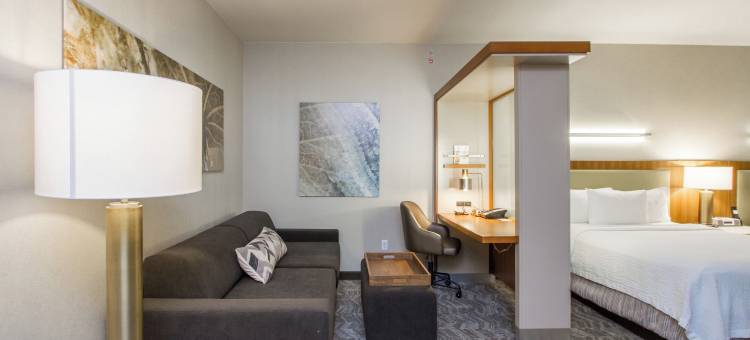 圣安吉洛万豪SpringHill Suites 酒店(SpringHill Suites San Angelo)图片