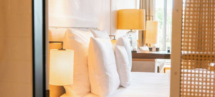 路易斯酒店(Louis Hotel)图片
