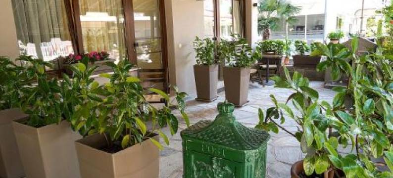 纳波利公寓和一室公寓(Nepheli Apartments and Studios)图片