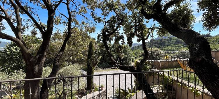 卡西斯庄园(Clos des Cassis - Maison d'Hôtes)图片