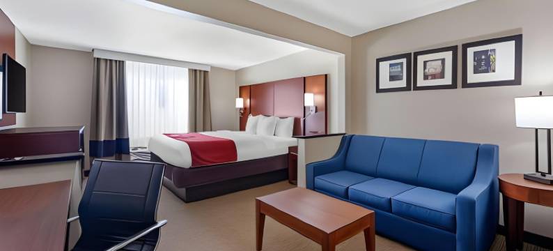 舒适酒店-俄克拉何马市南240号州际公路(Comfort Inn Oklahoma City South - I-240)图片