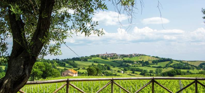 Villa w/ Wine Tours Near Beach图片