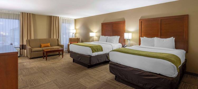 柯林斯威尔舒适酒店 - 近圣路易斯(Comfort Inn Collinsville Near St Louis)图片