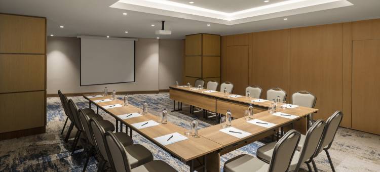 希尔顿花园酒店-巴勒克西尔(Hilton Garden Inn Balikesir)图片