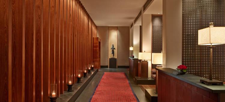 迈阿密海滩时代酒店(The Setai, Miami Beach)图片