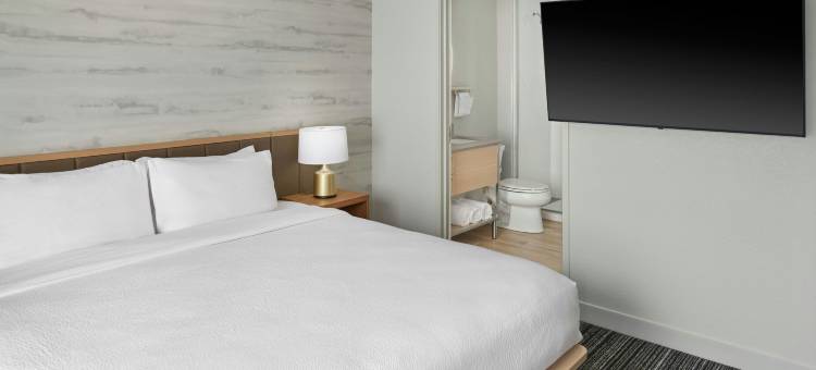 兰辛北TownePlace Suites酒店(TownePlace Suites Lansing North)图片
